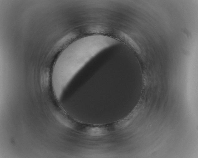 X0000113850163200910081653