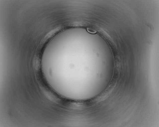 X0000113850164200910081653