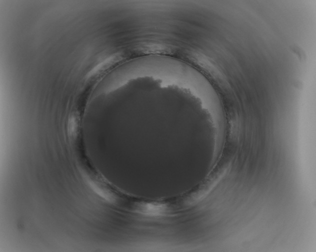 X0000113850165200910081653