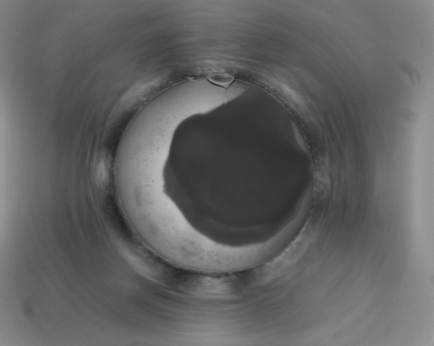 X0000113850166200910081653