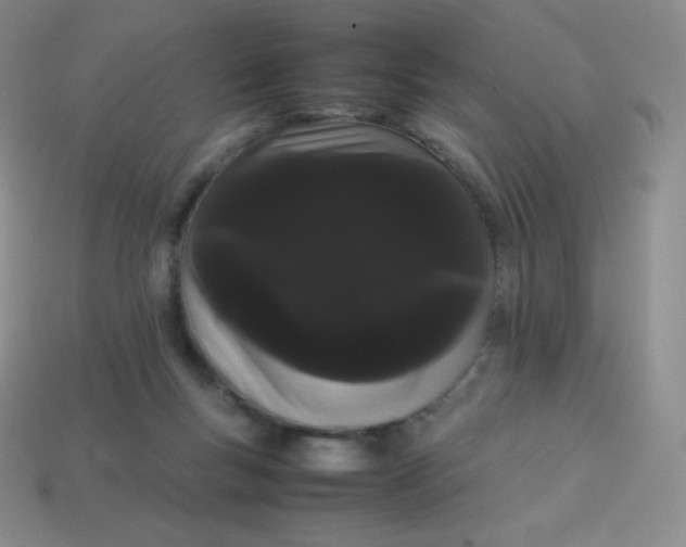 X0000113850167200910081653