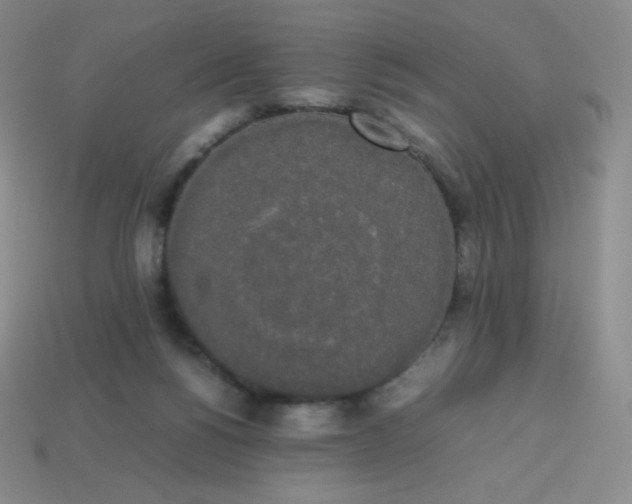 X0000113850168200910081653