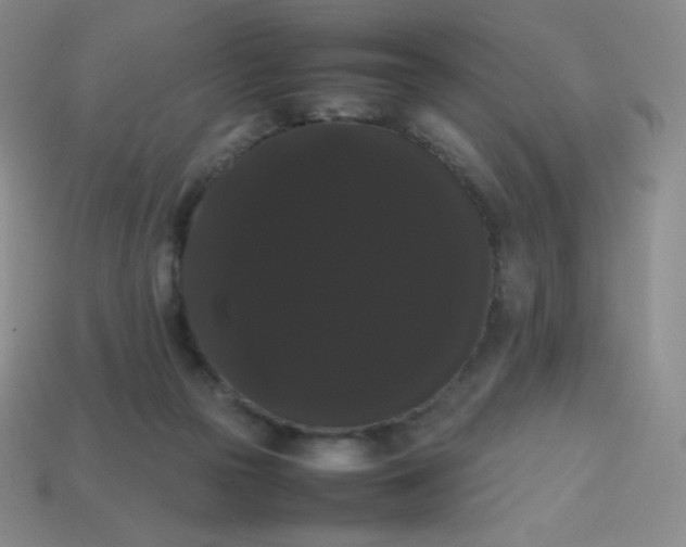 X0000113850169200910081653