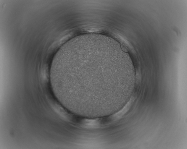 X0000113850170200910081653