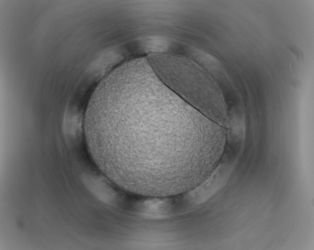 X0000113850172200910081653