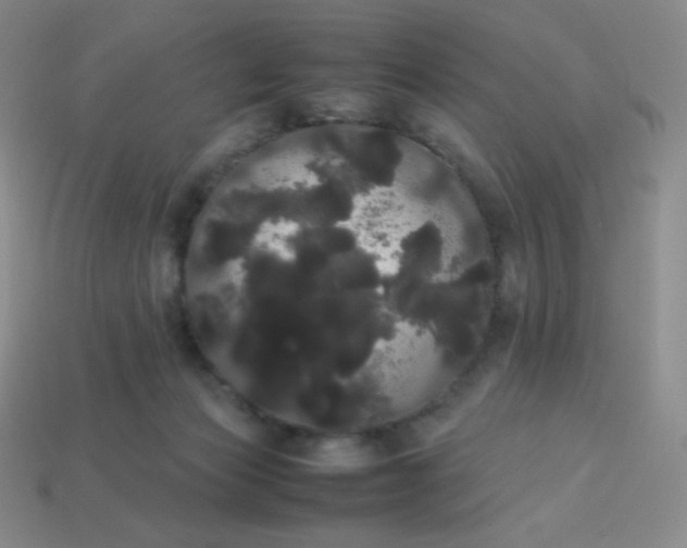 X0000113850173200910081653