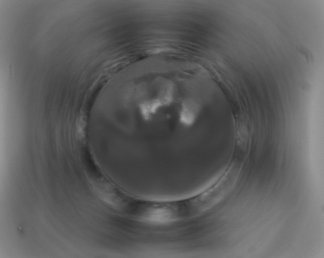 X0000113850175200910081653