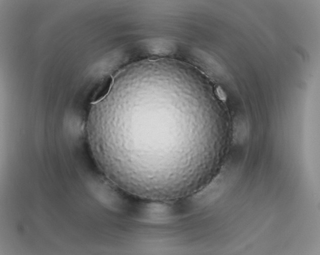 X0000113850176200910081653