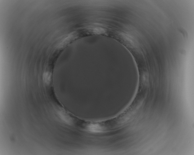 X0000113850177200910081653