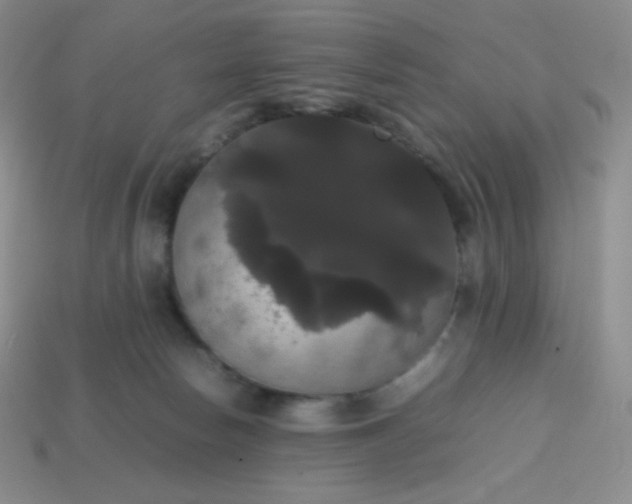 X0000113850178200910081653