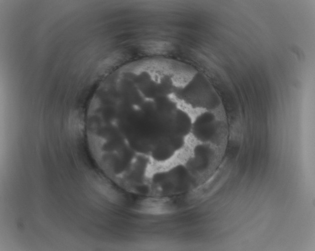 X0000113850179200910081653