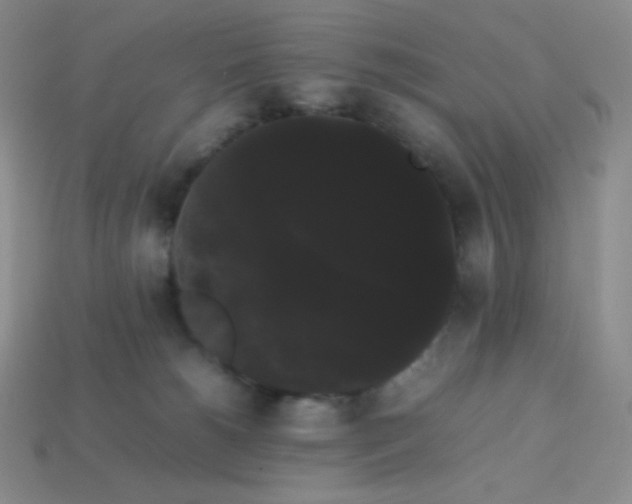 X0000113850180200910081653