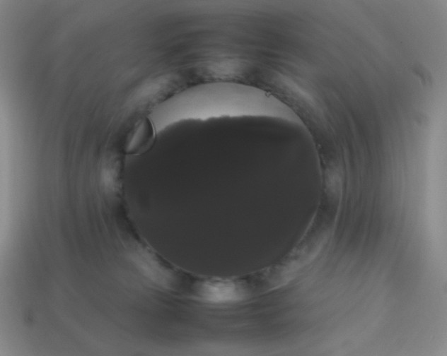 X0000113850181200910081653