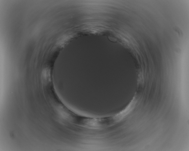 X0000113850182200910081653