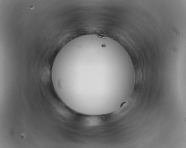 X0000113850183200910081653