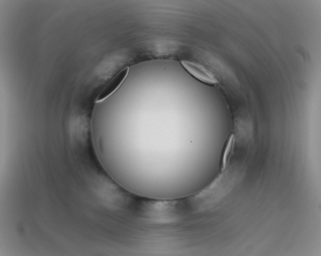 X0000113850184200910081653