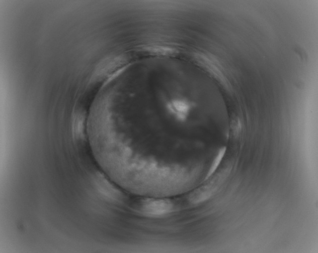 X0000113850185200910081653