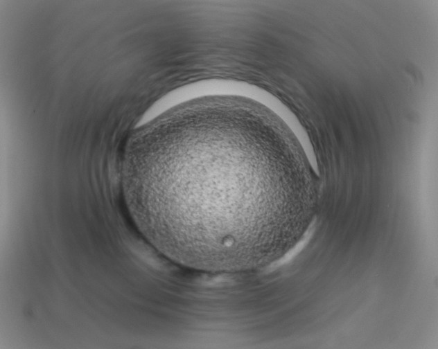 X0000113850186200910081653