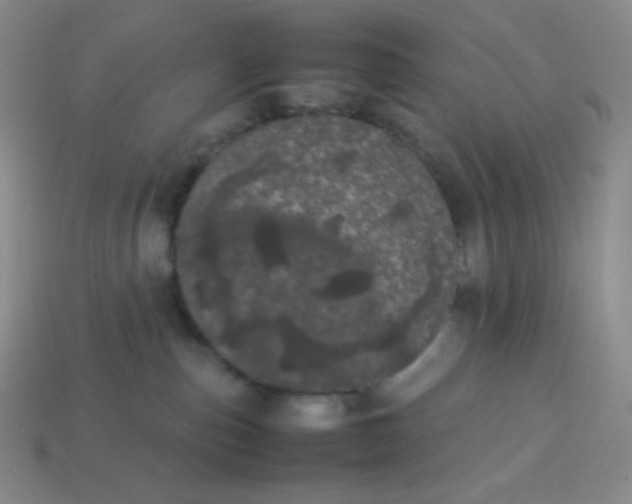 X0000113850187200910081653