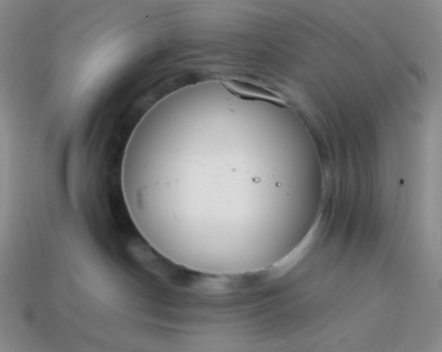 X0000113850190200910081653