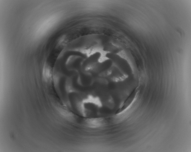 X0000113850191200910081653