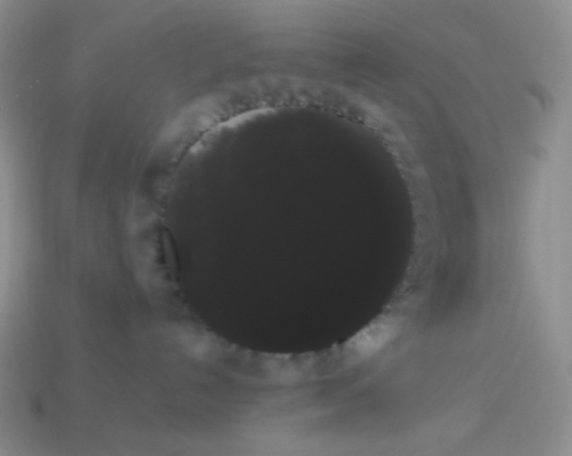 X0000113850192200910081653