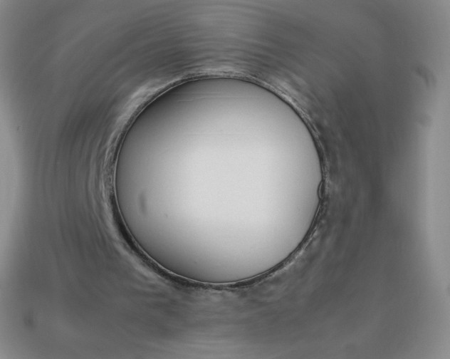 X0000113850193200910081653