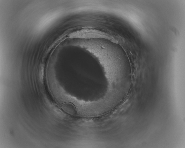 X0000113850194200910081653