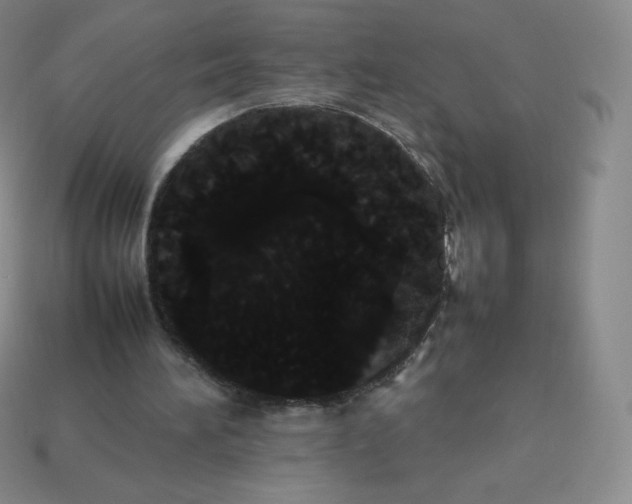 X0000113850196200910081653