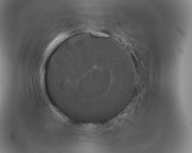 X0000113850197200910081653