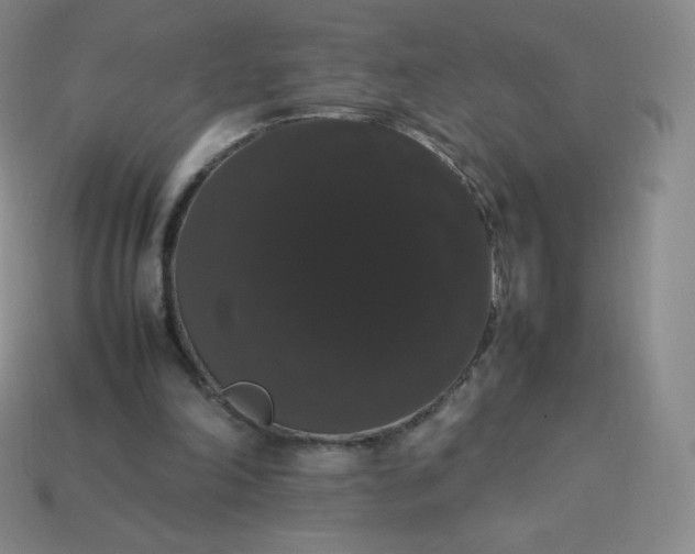 X0000113850198200910081653