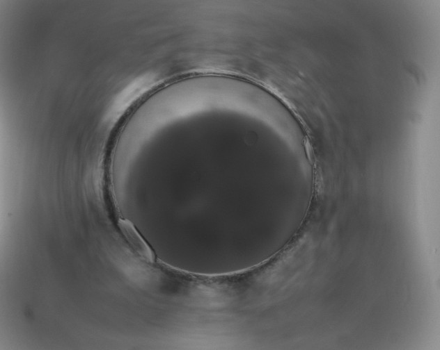 X0000113850199200910081653