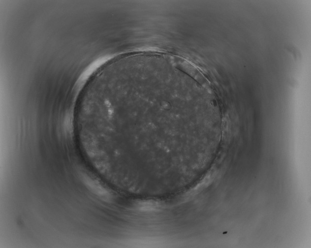 X0000113850200200910081653