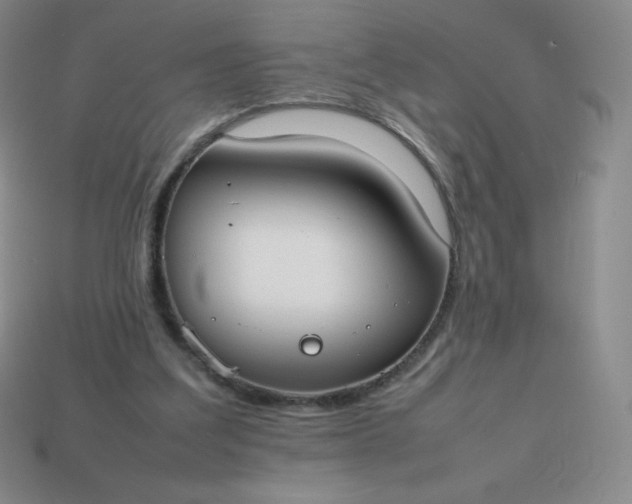 X0000113850203200910081652