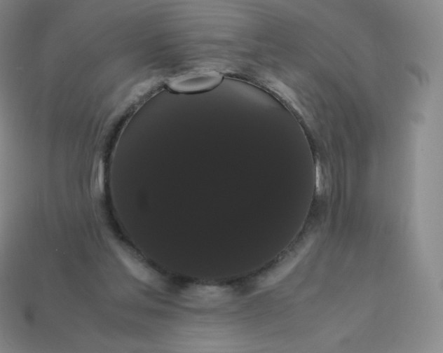 X0000113850205200910081652