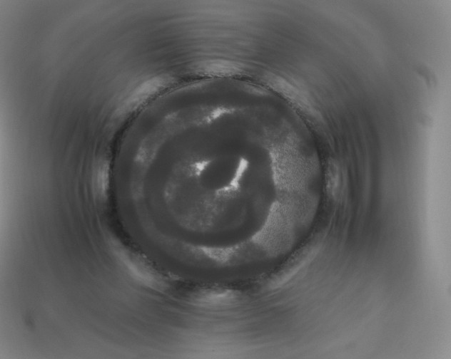 X0000113850206200910081652