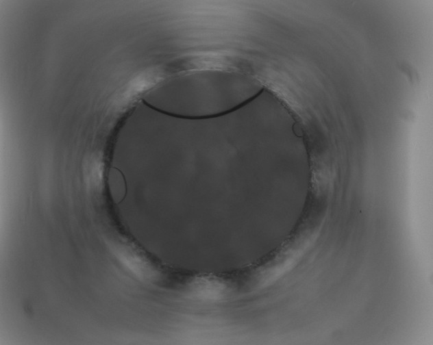 X0000113850207200910081652