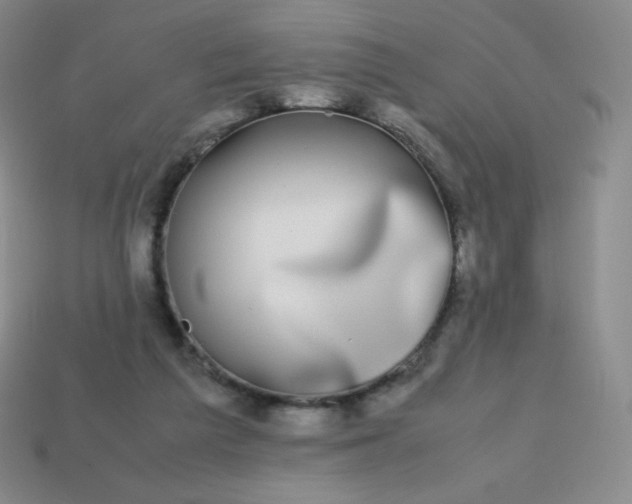 X0000113850209200910081652