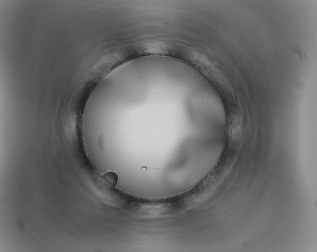 X0000113850213200910081652