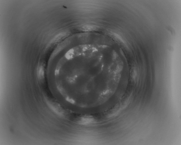 X0000113850214200910081652