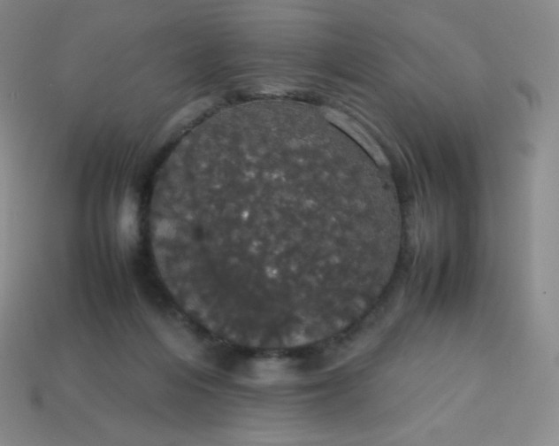 X0000113850216200910081652