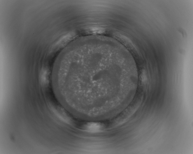 X0000113850218200910081652