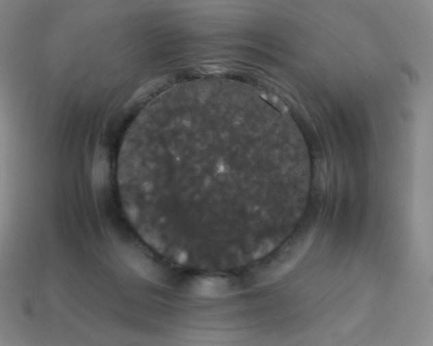 X0000113850220200910081652