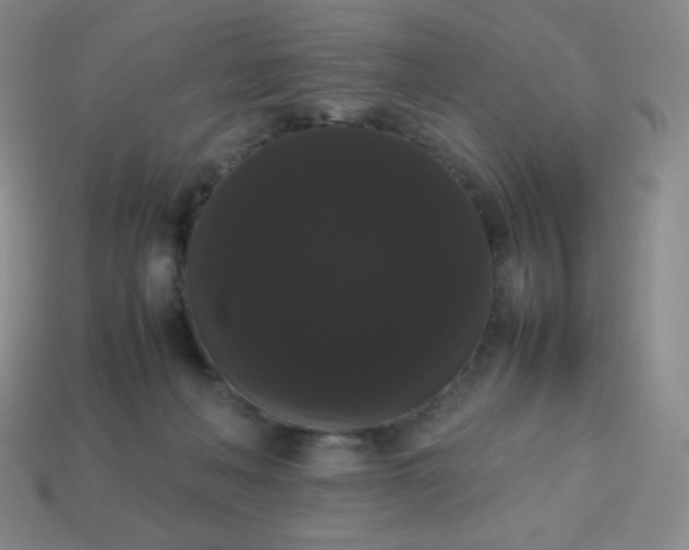 X0000113850222200910081652