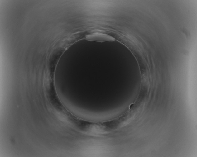 X0000113850223200910081652