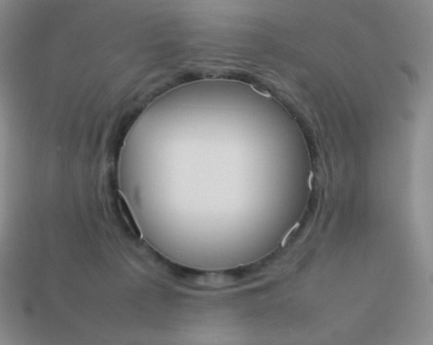 X0000113850225200910081652