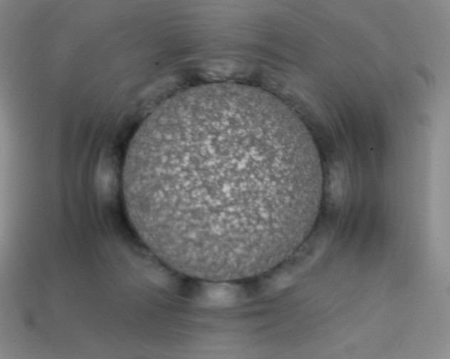 X0000113850226200910081652