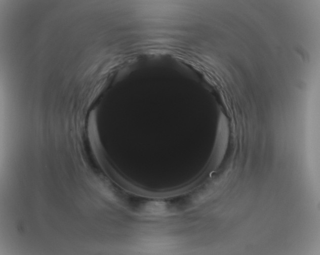 X0000113850227200910081652