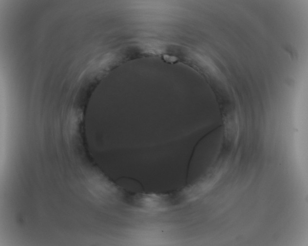 X0000113850229200910081652