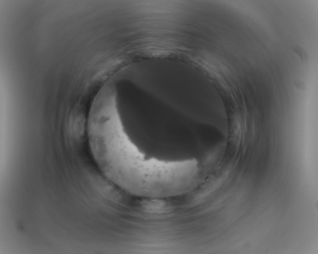 X0000113850230200910081652